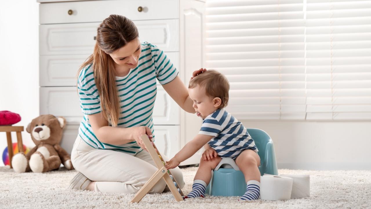 Entrenamiento para ir al baño